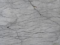 Albums/20060200-New Zealand 2006/20060318-Kaikiura/10